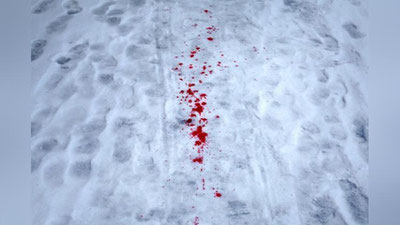 'Angrenlik shaxs 2,5 yoshli qizning boshiga urib o`ldirib qo`ydi'ning rasmi