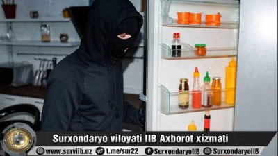 'Термиз туманида эр-хотиннинг ўғирлик жинояти фош этилди'ning rasmi