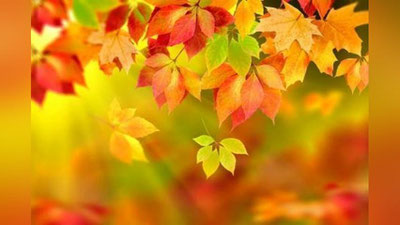 '20 OKTYaBR UChUN OB-HAVO MA`LUMOTI'ning rasmi