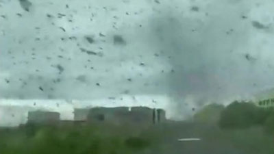 Изрображение 'Смерч из тысяч комаров запечатлен очевидцами на Камчатке (видео)'