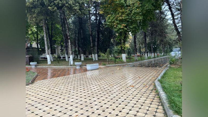 'Bugun O`zbekistonning 6 ta hududida yomg`ir yog`ishi kutilmoqda'ning rasmi