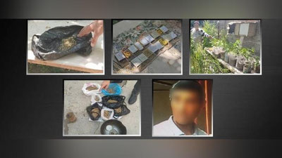 'Toshkent viloyatida 70 tup giyohvand o`simliklarni etishtirayotgan va giyohvand moddasini saqlagan fuqarolar aniqlandi'ning rasmi