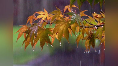 'Bugun ba`zi joylarda biroz yomg`ir yog`ishi mumkin'ning rasmi