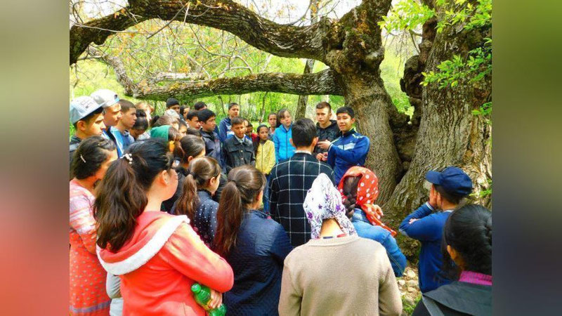 'Эко саёҳат:  ёшлар 6 асрлик чинор дарахти, «Наволи» сой, осма кўприк ва шаршарада (фото)'ning rasmi