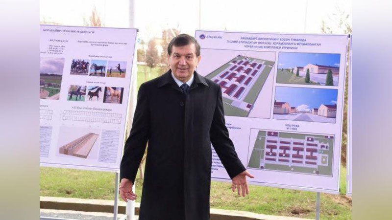 Изрображение 'ПРЕЗИДЕНТ ОЗНАКОМИЛСЯ С ПРОЕКТАМИ ТЕКСТИЛЬНЫХ ПРОИЗВОДСТВ В КАРШИНСКОМ РАЙОНЕ'