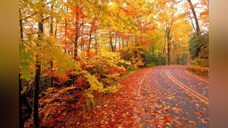 '​17 OKTYaBR KUNI O`ZBEKISTONDA QANDAY OB-HAVO KUZATILADI?'ning rasmi