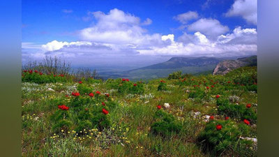 '8 март куни кутилаётган об-ҳаво маълумоти'ning rasmi