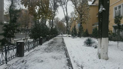 Изрображение 'НОЯБРЬСКИЙ ТАШКЕНТ (ФОТО)'