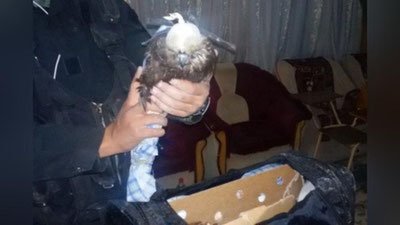 '“ЛОЧИН”ЛАРНИ ЧЕГАРДАН ОЛИБ ЧИҚИБ КЕТАЁТГАНИДА ҚЎЛГА ОЛИНДИ 'ning rasmi