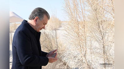 Изрображение 'Президента ознакомили с работой по облесению высохшего дна Арала (фото)'