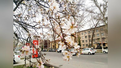 'Bugun O`zbekistonga iliq va quruq havo massalarining kirib kelishi boshlanadi'ning rasmi