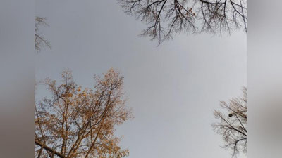 Изрображение 'В Ташкенте сегодня потеплеет до +15'