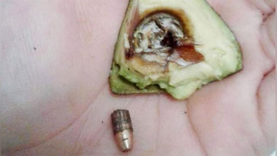 '​Америкалик аёл сотиб олган авакадонинг ичидан патрон чиқди'ning rasmi