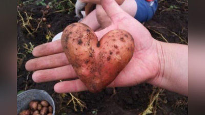 '​Tabiatda ham hazil hissi borligini isbotlovchi 15 fakt (Foto)'ning rasmi