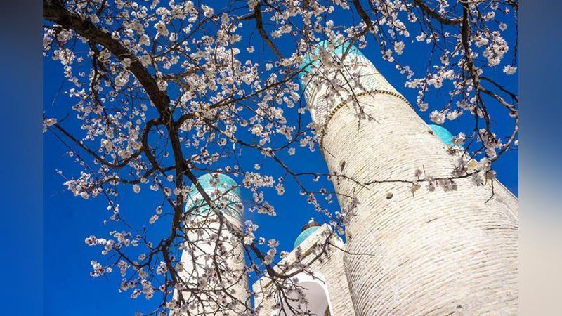 'Dam olish kuni O`zbekiston havo biroz salqinlashadi'ning rasmi