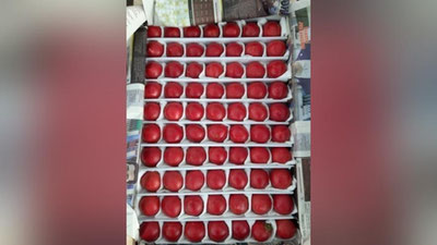 Изрображение 'В Оренбурге выявлено 18,5 тонн зараженных томатов, завезенных из Узбекистана'