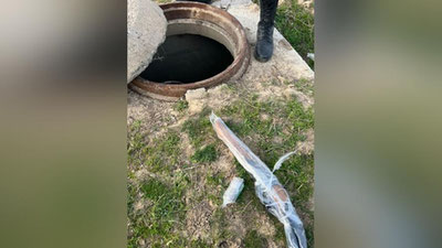 'Қирғизистон—Ўзбекистон чегарасида қурол ва ўқ-дорилар сақланган яширин жой топилди'ning rasmi