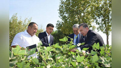 Изрображение 'Определены пять приоритетных направлений по развитию Каракалпакстана (видео)'