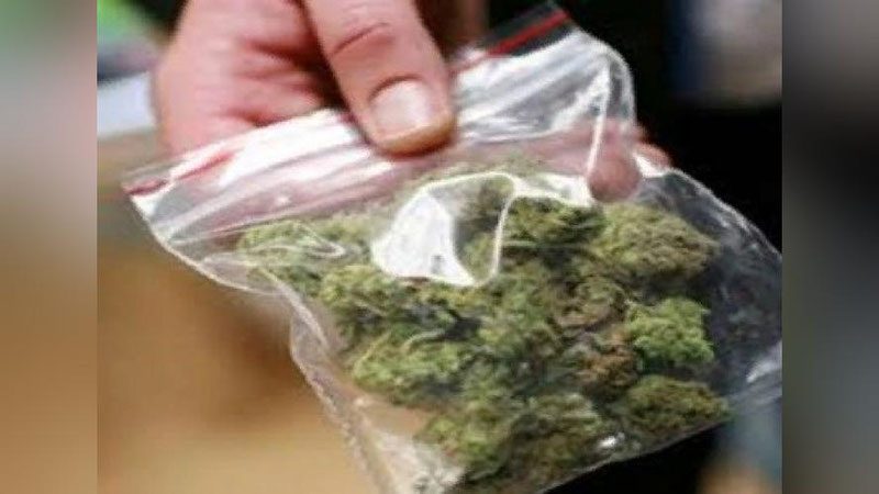 'Jizzaxda 1 kgdan ortiq marixuanani 1 mln so`mga sotayotgan 2 fuqaro ushlandi'ning rasmi