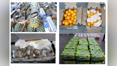 'Bojxonachilar sifati kafolatlanmagan sitrus mevalarini to`xtatib qolishdi'ning rasmi