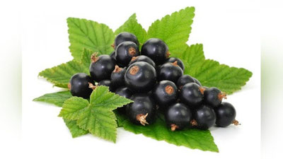 'QORAG`AT ISITMANI TUShIRADI'ning rasmi