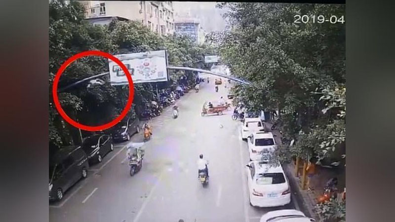 Изрображение 'НЕОБЫЧНОЕ ДТП В КИТАЕ: ГУСЬ СБИЛ ДЕВУШКУ НА МОПЕДЕ (ВИДЕО)'