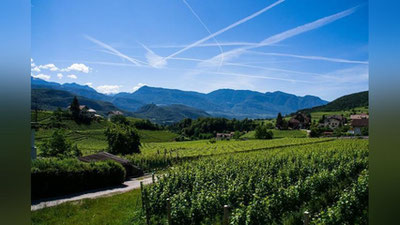 'O`zbekistonda 7 iyul kuni qanday ob-havo kuzatiladi?'ning rasmi