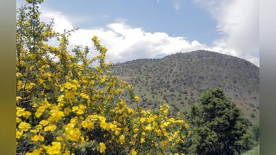 'Qisqa yomg`ir, momaqaldiroq va +32° issiq'ning rasmi