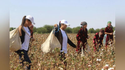 'Ўзбек пахтаси болалар меҳнати ва мажбурий меҳнатдан холи'ning rasmi