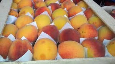 'Karantin ostidagi mahsulotni olib qo`yish, qaytarib yuborish va yo`q qilish tartibi belgilandi'ning rasmi