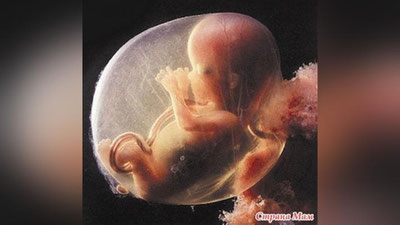 '​«QOG`ANOQ SUVI NEGA KO`PAYaDI?»'ning rasmi