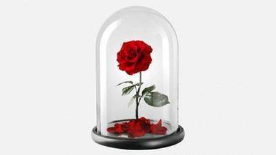 '​ATIRGULNING QONLI IZI'ning rasmi