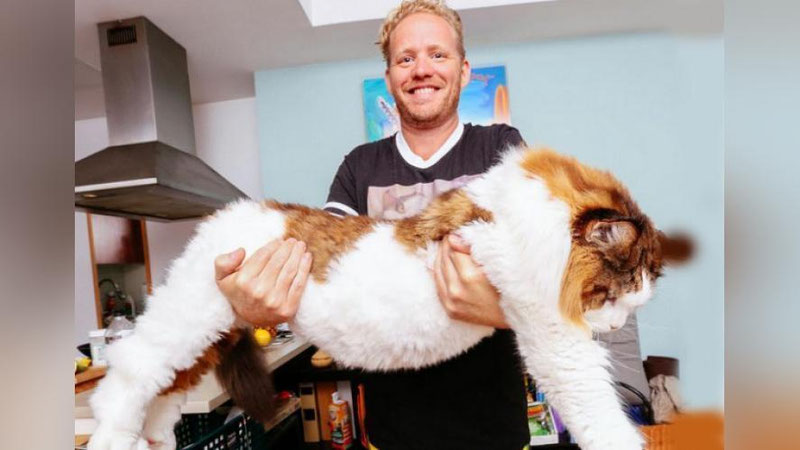 'Eng bahaybat  uy mushugi'ning rasmi