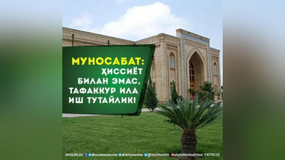 Изрображение 'Управление мусульман Узбекистана осудило провокации, оскорбляющие чувства верующих'