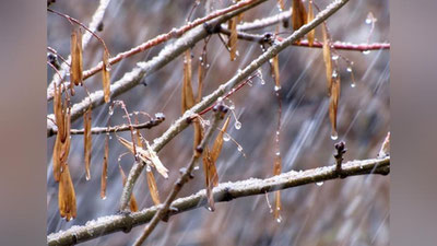 Изрображение 'ВСЯ ПАЛИТРА ПОГОДЫ НА 25 НОЯБРЯ: МЕСТАМИ СНЕГ, МЕСТАМИ ДОЖДЬ И БЕЗ ОСАДКОВ'