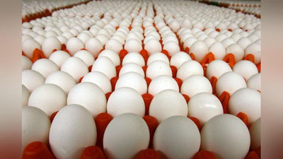 '​Qashqadaryo viloyatida tuxum eksport qilinmoqda'ning rasmi