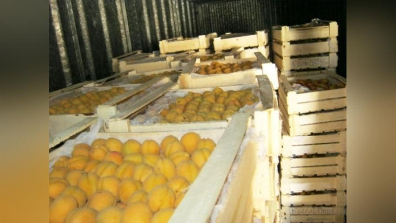 Изрображение 'ДЛЯ ЭКСПОРТЕРОВ ВВЕДЕНЫ СКИДКИ ПРИ ПЕРЕВОЗКЕ ПЛОДООВОЩНОЙ ПРОДУКЦИИ ЖЕЛЕЗНОЙ ДОРОГОЙ'