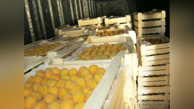 Изрображение 'ДЛЯ ЭКСПОРТЕРОВ ВВЕДЕНЫ СКИДКИ ПРИ ПЕРЕВОЗКЕ ПЛОДООВОЩНОЙ ПРОДУКЦИИ ЖЕЛЕЗНОЙ ДОРОГОЙ'