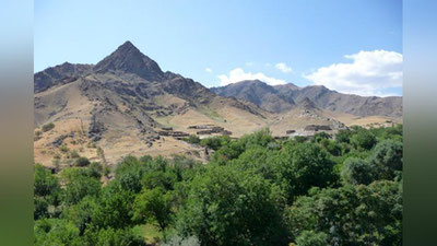 '31 iyul kuni O`zbekistonda qanday ob-havo kuzatiladi?'ning rasmi