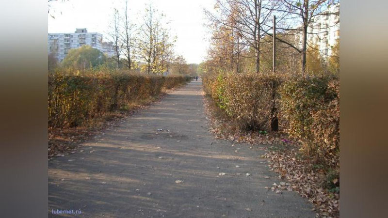 Изрображение 'Генконсул инициировал поиск погибшего в Московской области соотечественника'