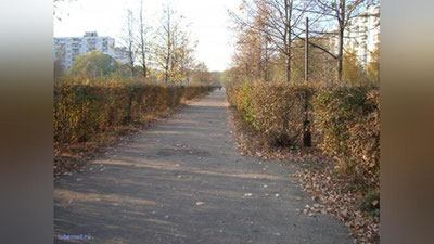 Изрображение 'Генконсул инициировал поиск погибшего в Московской области соотечественника'