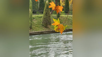 Изрображение 'В Ташкенте +17: погода на 2 декабря'