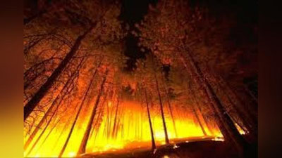 ' AQShda o`rmon yong`inlari ro`y bermoqda 'ning rasmi