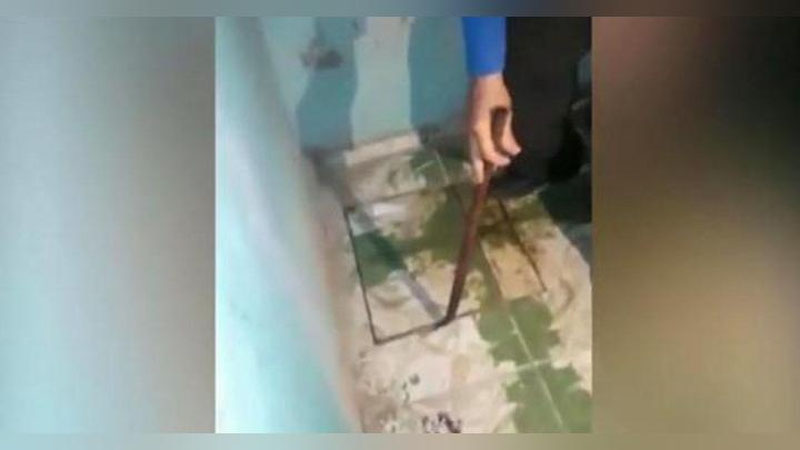 'Uch yil qidiruvda bo`lgan giyohvand moddalar sotuvchisi karavot tagidan topildi (Video)'ning rasmi