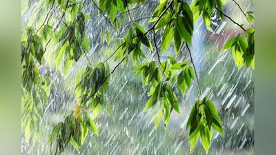 Изрображение 'ЗЕМЛЕ ПРЕДСКАЗАЛИ ДОЖДЛИВОЕ БУДУЩЕЕ'