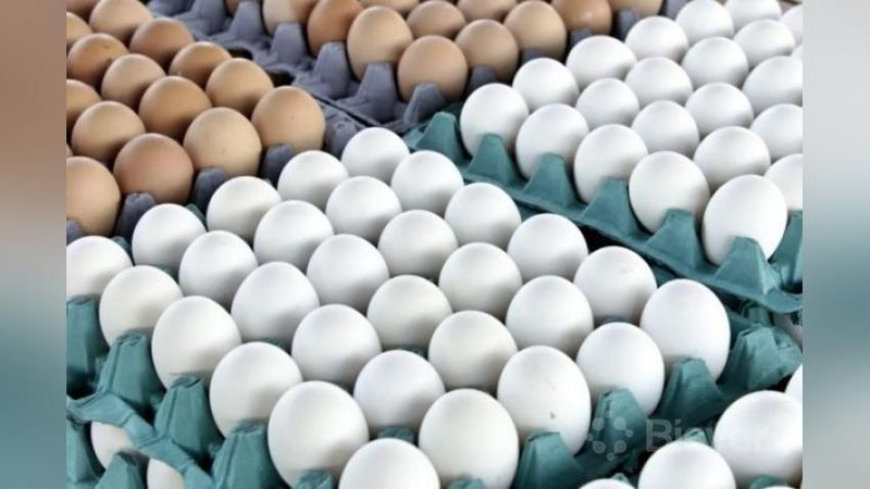 'Sergeli dehqon bozorida iste`molga yaroqsiz tuxum arzonlashtirilgan narxda sotilayotgani aniqlandi'ning rasmi