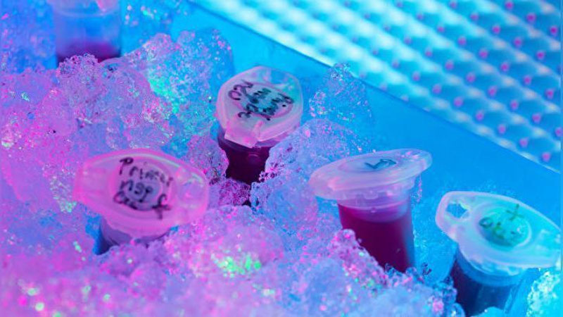 '"Баҳайбат вируслар" сабаб инсоният қирилиб кетадими?​'ning rasmi