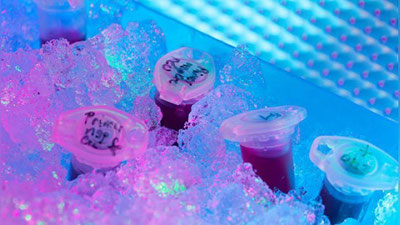 '"Баҳайбат вируслар" сабаб инсоният қирилиб кетадими?​'ning rasmi