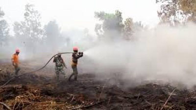 'Indoneziya va Malayziyada o`rmon yong`inlari tufayli maktablar yopildi'ning rasmi