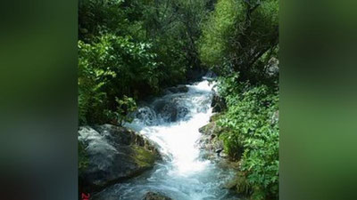 'O`zbekistonda 29 iyun kuni qanday ob-havo kuzatiladi?'ning rasmi